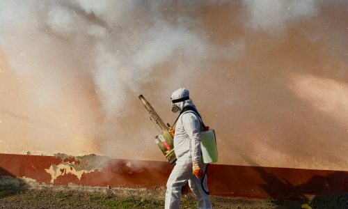 Goodlifemovers Kenya: Best Office Fumigation & Commercial Pest Control Nairobi