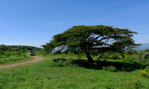 Goodlifemovers Kenya: Best Relocation Company in Kenya – Call 0729839701