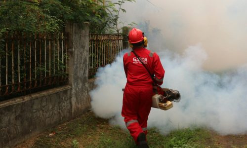 Termite Treatment Nairobi – Affordable Pest Control Experts in Kenya